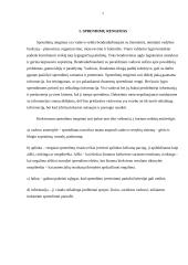 Vadybos pagrindų referatas 3 puslapis