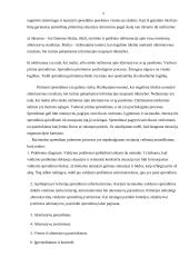 Vadybos pagrindų referatas 7 puslapis