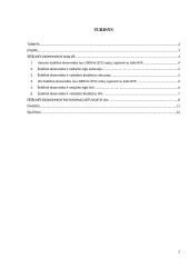 Šešėlinės ekonomikos pasekmės Lietuvos ir JAV ekonomikai 2 puslapis