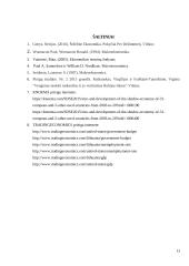 Šešėlinės ekonomikos pasekmės Lietuvos ir JAV ekonomikai 13 puslapis