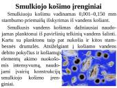 Vandens skaidrinimas korytosiomis pertvaromis 11 puslapis