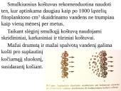 Vandens skaidrinimas korytosiomis pertvaromis 13 puslapis