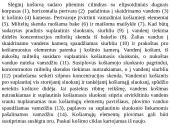 Vandens skaidrinimas korytosiomis pertvaromis 16 puslapis