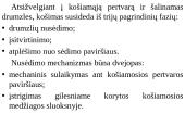 Vandens skaidrinimas korytosiomis pertvaromis 3 puslapis