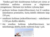 Vandens skaidrinimas korytosiomis pertvaromis 5 puslapis