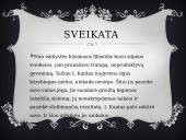 Imanuelis Kantas prezentacija 8 puslapis