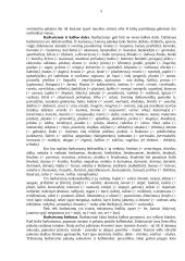 Senieji skoliniai lietuvių kalboje 4 puslapis
