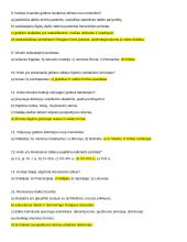 Dailės konspektas egzaminui 2 puslapis