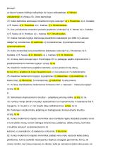 Dailės konspektas egzaminui 11 puslapis