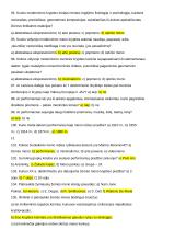 Dailės konspektas egzaminui 13 puslapis