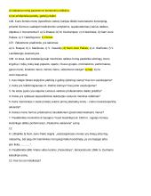 Dailės konspektas egzaminui 14 puslapis