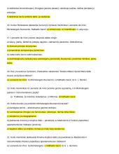 Dailės konspektas egzaminui 3 puslapis