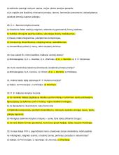 Dailės konspektas egzaminui 5 puslapis