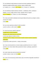 Dailės konspektas egzaminui 9 puslapis