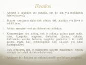 Arbūzas ir cukinija 11 puslapis