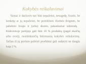 Arbūzas ir cukinija 7 puslapis