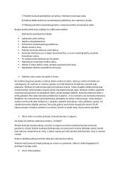 Krepšinio konspektas 2 puslapis