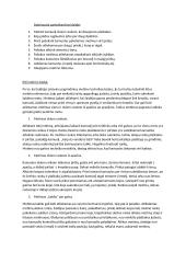 Krepšinio konspektas 4 puslapis