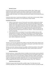 Krepšinio konspektas 5 puslapis