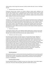 Krepšinio konspektas 6 puslapis