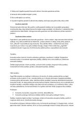 Krepšinio konspektas 7 puslapis