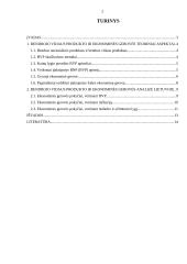 BVP ir ekonominė gerovė 2011-2015 2 puslapis