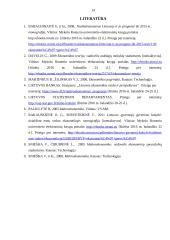 BVP ir ekonominė gerovė 2011-2015 14 puslapis