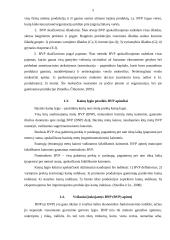 BVP ir ekonominė gerovė 2011-2015 5 puslapis