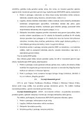 BVP ir ekonominė gerovė 2011-2015 6 puslapis