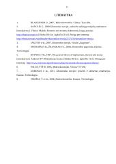 Keinsistinio ekonomikos modelio vertinimas 11 puslapis