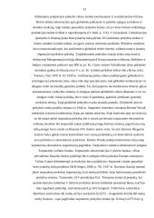 Globalinė prekyba ir globalinė rinka. Globalinės prekybos įtakos linkmės 13 puslapis