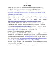 Globalinė prekyba ir globalinė rinka. Globalinės prekybos įtakos linkmės 20 puslapis