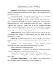 Globalinė prekyba ir globalinė rinka. Globalinės prekybos įtakos linkmės 3 puslapis