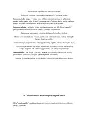 Marketingo planas AB "Pieno žvaigdžės" 13 puslapis