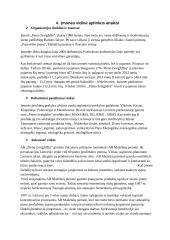 Marketingo planas AB "Pieno žvaigdžės" 5 puslapis