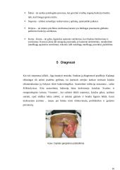 Dujinė gangrena referatas 10 puslapis