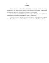 Viešojo administravimo sistemos ir reformos Japonijoje 8 puslapis