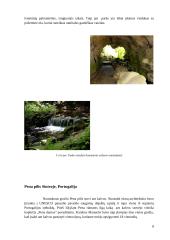 Pilių, muziejų parkai 8 puslapis