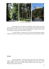 Pilių, muziejų parkai 10 puslapis