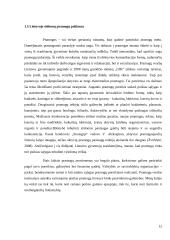 Lietuvos pramogų turizmo analizė 12 puslapis