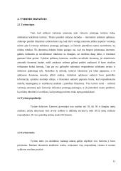 Lietuvos pramogų turizmo analizė 13 puslapis