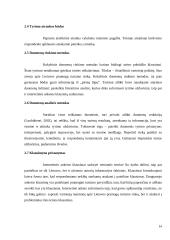 Lietuvos pramogų turizmo analizė 14 puslapis