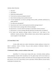 Lietuvos pramogų turizmo analizė 15 puslapis