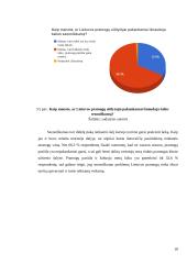 Lietuvos pramogų turizmo analizė 20 puslapis