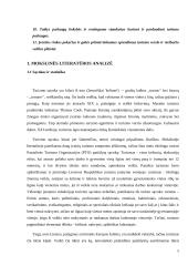 Lietuvos pramogų turizmo analizė 5 puslapis