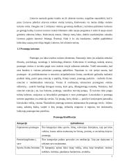 Lietuvos pramogų turizmo analizė 7 puslapis