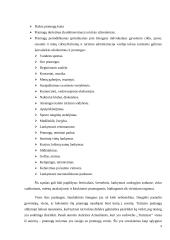 Lietuvos pramogų turizmo analizė 9 puslapis