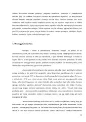 Lietuvos pramogų turizmo analizė 10 puslapis