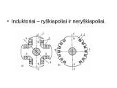 Sinchroninės mašinos ir jų sandara 7 puslapis