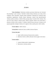 Valdžios sektoriaus finansų statistinis tyrimas 2 puslapis